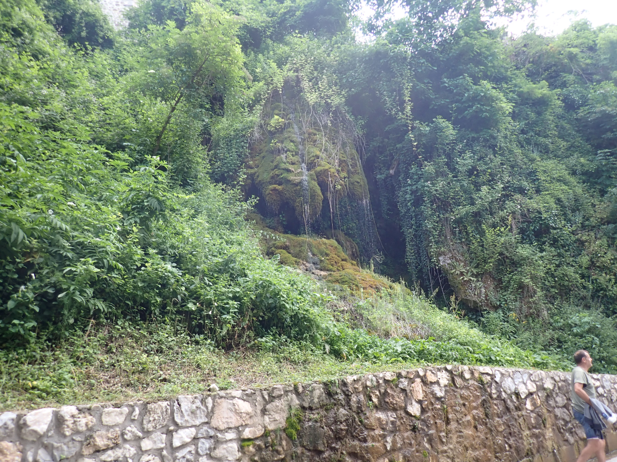 P7030210
