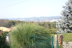 P7310091